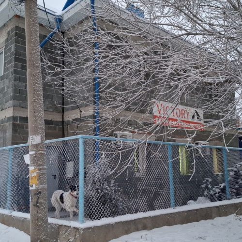 photo_2025-12-22_07-06-38